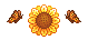 Sunflower Divider
